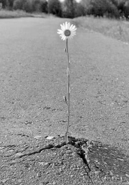 prigioniero speranza 2